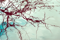 6-WATERWORLD-2-Droitwich-Lido-Park-Willow-Carr-004-DAN-web-version