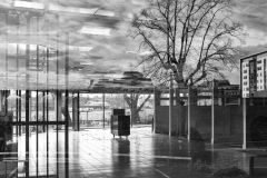 Through a Glass Darkly