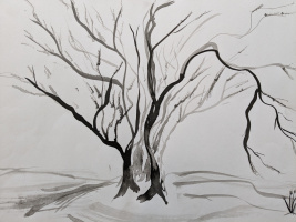 1_PXL_20230323_113951620