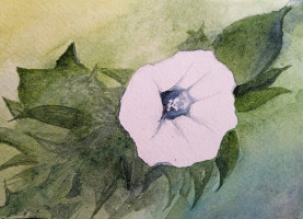 PXL_20230713_190452130