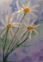 PXL_20240417_165210227