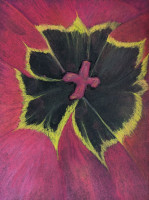 PXL_20240417_165448321